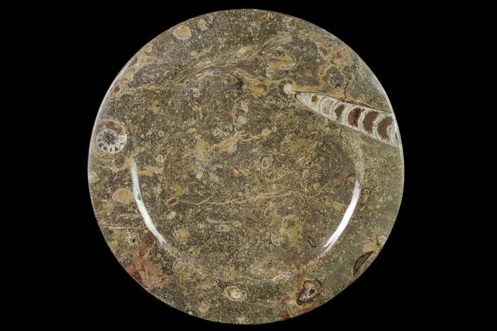 Fossil Orthoceras & Goniatite Round Plate - Stoneware #140076